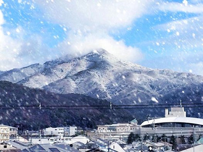写真の説明