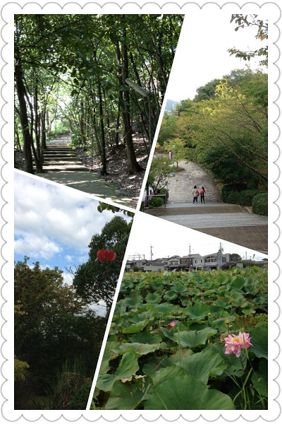 写真の説明