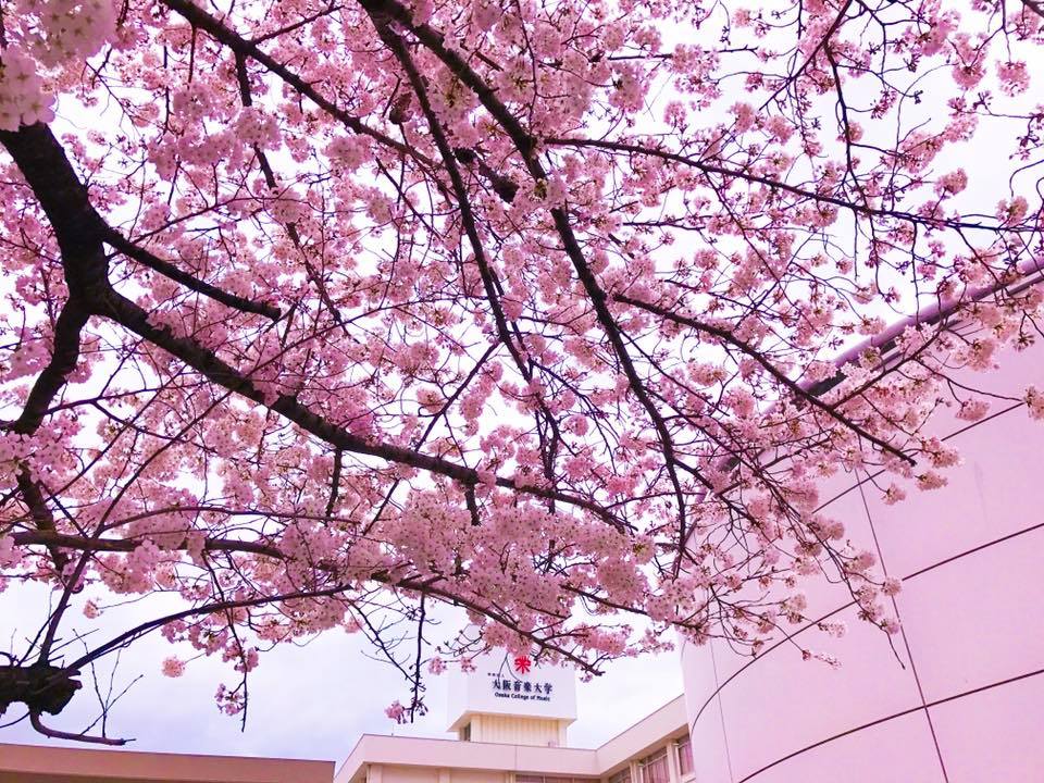 写真の説明